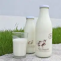 Bio Rohmilch